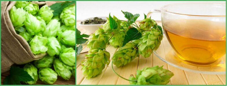 decoction of hop cones for potency after 50