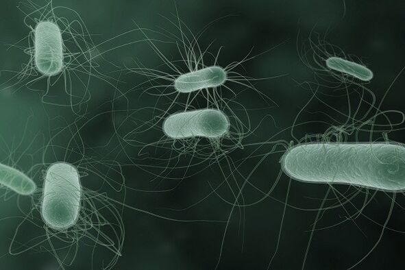 microorganisms causing pathological discharge when excited